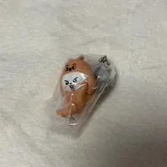 SKZOO リービット