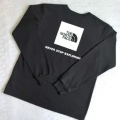 THE NORTH FACE バックプリント ロンＴ 黒　Ｌ