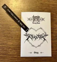 Straykids スンミン ソウルコン メッセージ stayzone