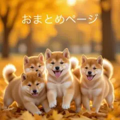 ひろりん様 リクエスト 4点 まとめ商品