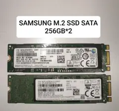 Samsung M.2 SSD SATA 256GB*2個