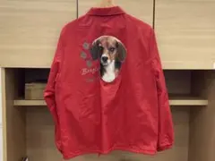 Item thumbnail for item ddbfa21b-04fd-4a74-98aa-9b49625d0de2