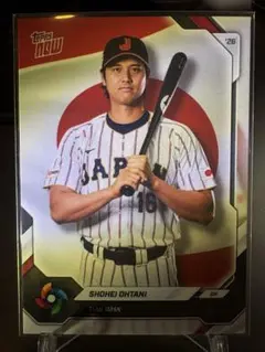 ☺️ 侍ジャパン 2026 チームカード ベースカード12枚 + パラレル1枚 