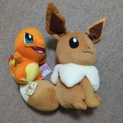 ポケモン ぬいぐるみセット ヒトカゲ・イーブイ
