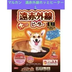 Item thumbnail for item 384a9be8-2fe4-44aa-835e-bc58e417d5c9