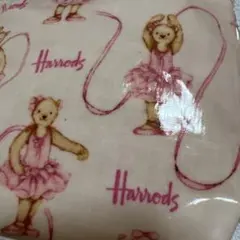 Item thumbnail for item e05703ee-8ff8-47f7-87ef-8062444348be