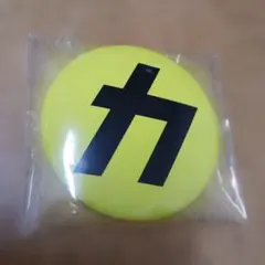 ♡*♡様 Snow Man カリスマックス 缶バッチ 音故知新 特典