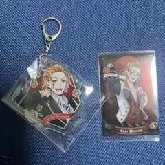 ツイステ　ケイトセット