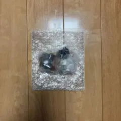 HUNTER×HUNTER ゴン【デスクトップハンター3】