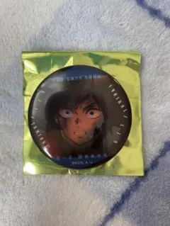 鬼滅の刃 無限城 ものがたる眼差し コレクション 缶バッジ 冨岡義勇