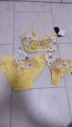 新品　サルート　ブラジャーショーツセット C65