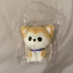 2026年最新】超特急 リョウガ ぬいぐるみの人気アイテム - メルカリ