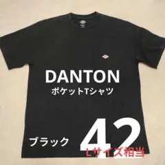✳️ DANTON ダントン ポケットTシャツ ブラック　42のサムネイル