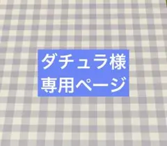 ✧︎*。ダチュラ様 専用ページ✧︎*。お取置き11/20まで