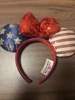 ディズニー カチューシャ Walt Disney World で購入