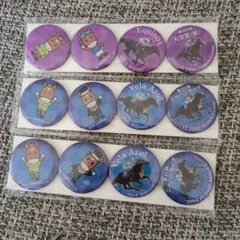 第168回天皇賞秋　第43回ジャパンカップ マグネット