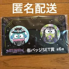 サンリオ　ハッピーくじ　ハロウィン　缶バッジSET けろっぴ　ハンギョドン