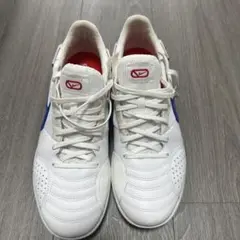 【限定品】Nike street GATO フランス/トリコロールカラー