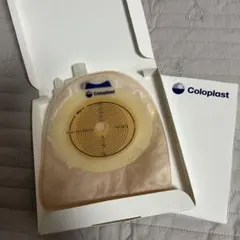 Item thumbnail for item 9f1bbbdb-f356-43c7-8755-a2f2fc25376d