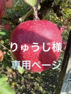 りゅうじ様専用ページ　山形県朝日町和合平　サンふじ