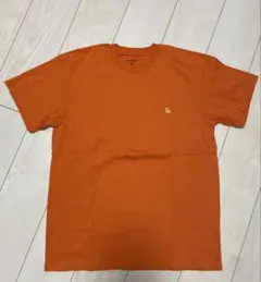 Item thumbnail for item 2b9f6091-f026-4cd2-aaeb-629c6c3f70d1