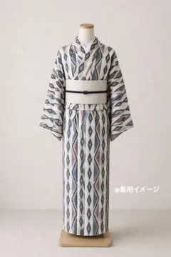 夏着物 正絹 楊柳 単衣 バチ襟 小紋 幾何学模様のサムネイル
