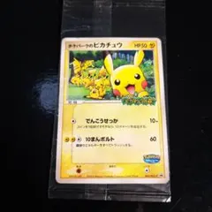 2025年最新】ポケパークのピカチュウ 未開封の人気アイテム