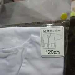 Item thumbnail for item 39e45923-8fd6-4a04-be32-333e13660948