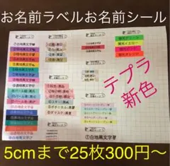 お名前ラベル お名前シール 整理整頓 おなまえラベル テプラ 防水 衣替え
