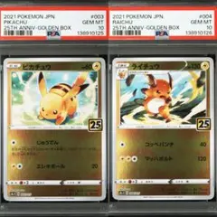 【PSA10連番】ピカチュウ　ライチュウ　25th（送料込、匿名配送）