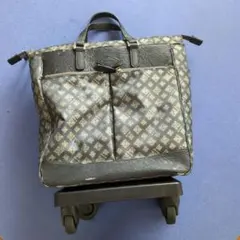 SWANY キャリーケース