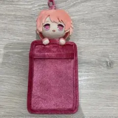 新品⭐️ カラフルピーチ　のあさん　ぬいぐるみパスケース