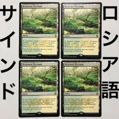 2026年最新】フェッチランド foilの人気アイテム - メルカリ