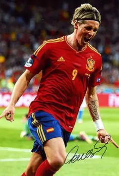 入手困難 フェルナンド・トーレス 直筆サイン入りフォト 入手困難 フェルナンド・トーレス 直筆サイン入りフォト 入手