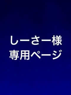 しーさー様専用ページ 他の方の購入不可