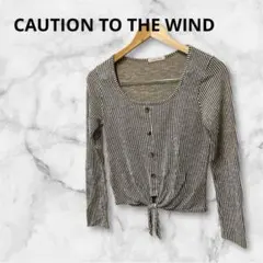 CAUTION TO THE WIND ストライプ長袖カットソーのサムネイル