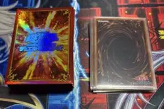 灰滅デッキ　メイン40＋EX15枚　(うららgフワロス入り)