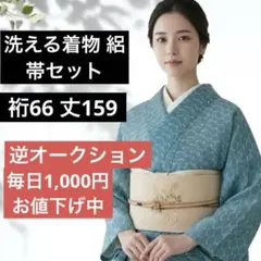 2026年最新】正絹訪問着セットの人気アイテム - メルカリ