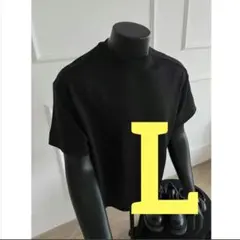 【新品】 ブラック Lサイズ コットン Tシャツ