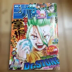 週刊少年ジャンプ 2019年48号 巻頭カラー Dr.STONE - メルカリ