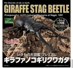 いきもの大図鑑プレミアム　ギラファノコギリクワガタ