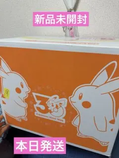 新品 ポケモン30周年記念 おかえり！ ピカチュウ 1/1 正規品 ぬいぐるみ