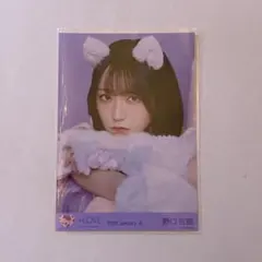 2026年最新】野口衣織 生写真 猫の人気アイテム - メルカリ