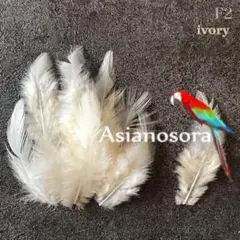 Noa様 リクエスト 2点 まとめ商品