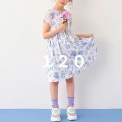 ANNA SUI mini 花柄 スワン刺繍 襟付き ワンピース 120cm - メルカリ