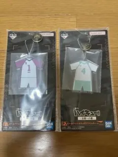 一番くじ ハイキュー!! Ｆ賞 アクリルチャーム 牛島若利 岩泉一