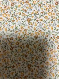 リバティタナローンはぎれポゥジーメドゥ