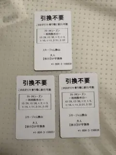 スキージャム勝山　リフト券3枚