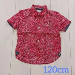 Y48 アーノルドパーマー ボタンダウンシャツ 120cm