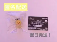 SKZOO めじるしアクセサリー 雲プレート ver. ポガリ